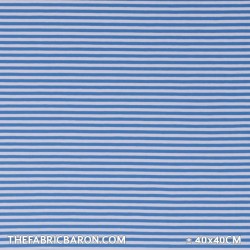Jersey Stripes 5 mm  -  Aqua White