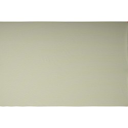 Jersey Stripes 5 mm  -  Lime White