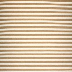 Cotton Stripes - Beige White 5mm