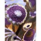 Printed Velvet Fabric - Purple/Brown