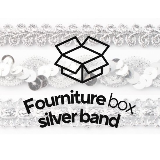 Silver band  - Surprise Box